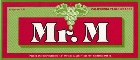 Mr. M